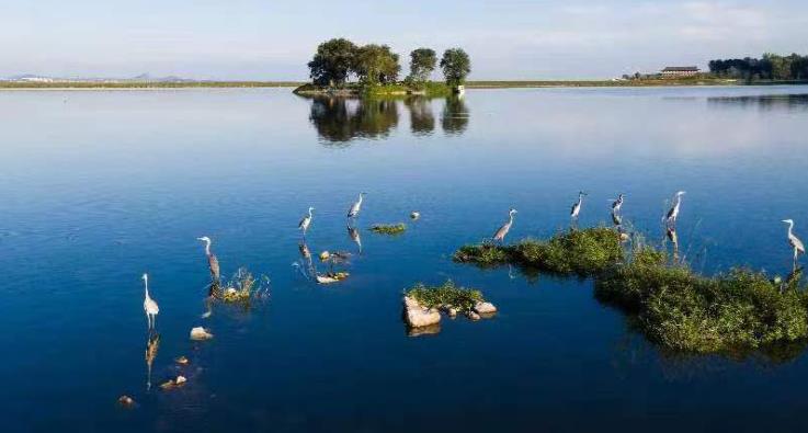 东平湖成为人与自然和谐发展的美丽家园